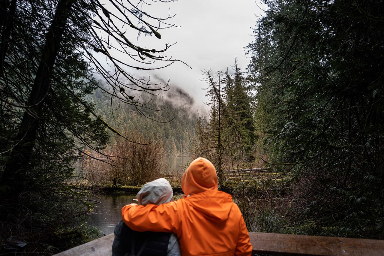 Cathedral Grove